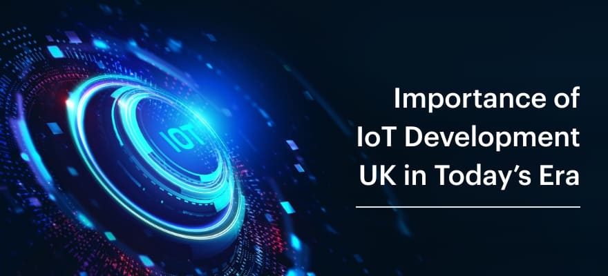 Importance of IoT Development UK in Today’s Era